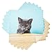 Linges à Vaisselle de Cuisine 11 "Ensemble de 6 Double Couche Super Absorbant Beau Chat Gris de Race Chartreux torchons torchons torchons torchons torchons pour Cuisine Salle de Bain