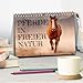 Horses in the Free Nature (Desk Calendar 2026 DIN A5 Landscape), CALVENDO Monthly Calendar: Horse Calendar with Noble Horses in the Free Nature - Frisians, Arabs, etc. and Horses