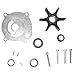 Sierra International 18-3384 Water Pump Kit Without Housing
