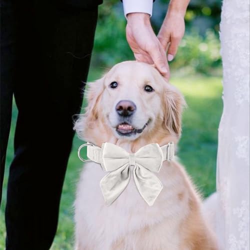 Tie KTWSUEF Hundehalsband Fliege Samtige, Fliege für Hunde, Komfortable Haltbarkeit Halsband Hund, Abnehmbares und verstellbares Fliege Hunde Für Hochzeiten, Geburtstage, Festliche