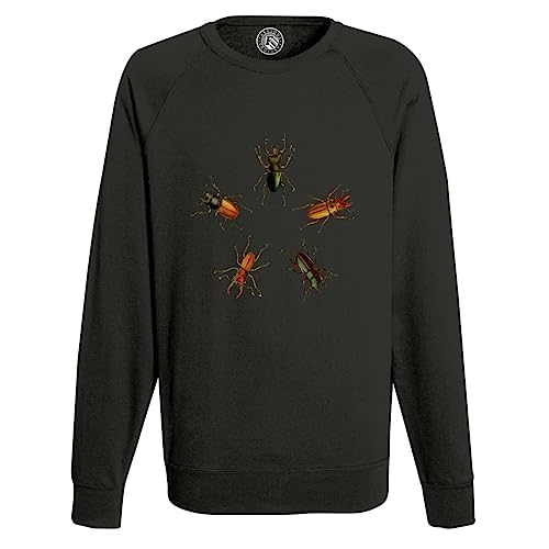 Sweat homme scarabées pour briser la monotonie des vêtements masculins avec l'art de la biologie