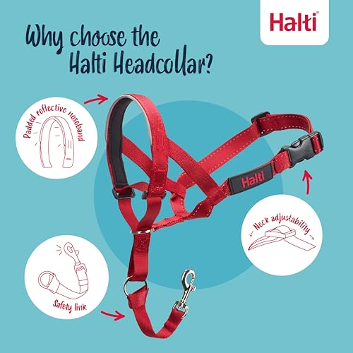 Halti Halfter, damit dein Hund nicht an der Leine zerrt. Verstellbar, reflektierend und leicht, mit gepolstertem Nasenband. Hundetraining-Halsband für mittelgroße Hunde (Größe 2, Rot)