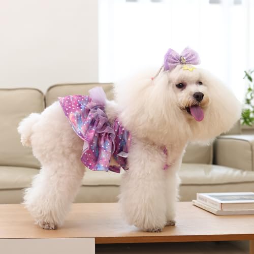 Image of CuteBone One Piece Dog Bikini Swimsuit Dress - Puppy Bathing Suit Costume for Small Dogs - Comfortable & Stylish Pet Clothes for Summer Pool, Beach & Play LTDB07XXS