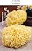 Zercumm Single Large Flower Tremella, a Kind of Semi-Transparent White Fungus Independent Pack 1*5 Flower White Fungus Independent Packaging Dry Goods Tremella Non-Tremella