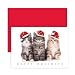 Masterpiece Holiday Collection 18-Count Christmas Cards, Christmas Kittens