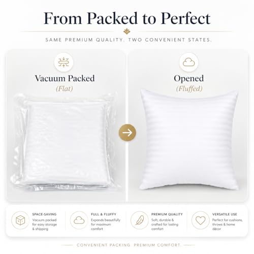 Image of Clasiko Microfiber Cushion Filler 24 x 24 Inches Set of 5 | Suitable for Sofa, Bed & Floor
