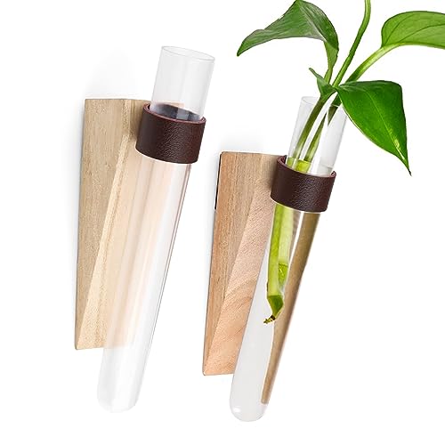 SPRHR 2 Pièces Vase Mural, Vases à Tubes à Essai sans Perçage, Peu Encombrant et Beau, Propagation Station Convient pour Décorer la Maison, Le Bureau, la...