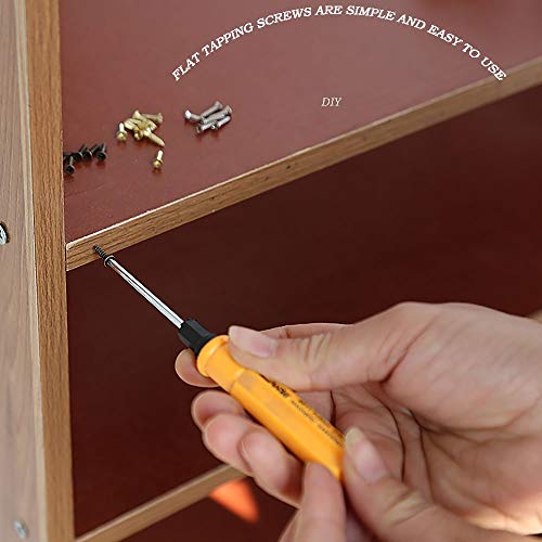 Image of newlng 1200pcs Small Screws 2& 2.5 * 6 /8 /10mm Phillips Flat Head Cross Self Tapping Tiny Screw Cabinet Electronic Accessories Screw Multifunctional DIY Micro Woodworking Screws Set Bronze