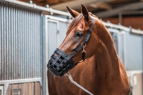 Equinate Fressbremse Grazeguard mit Polsterband Cob/Vollblut | Stufenlos Verstellbarer & ergonomischer Maulkorb für Pferde & Ponys | Reguliert die Futteraufnahme | Ideal für den täglichen Weidegang