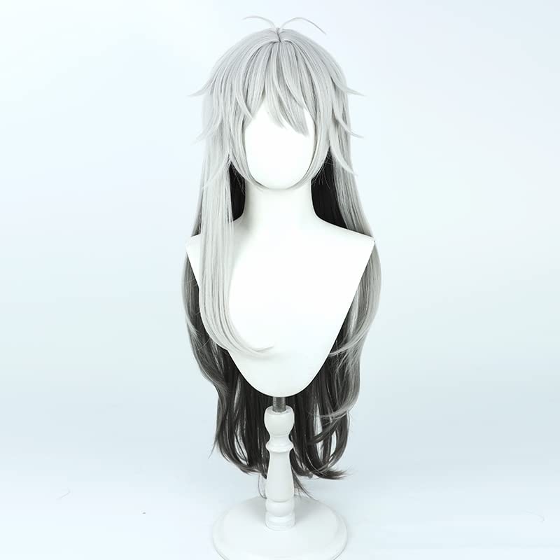 ぺいんと ウィッグ+衣装、小物 日常組 ぺいんと コスプレ ウィッグ付き 実況者 - メルカリ