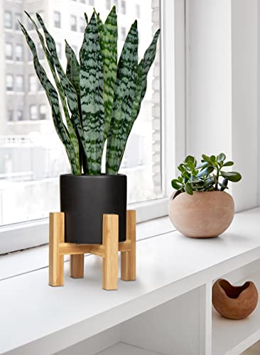 Gnflus Artificial Snake Plant With Ceramic Pot, 16 Inch Faux Sansevieria Plants With Stand Tropical Agave Fake Potted Plant For Home Office Indoor Room Decoration #TOP3