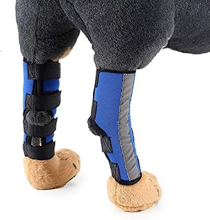 Zunea Dog Canine Rear Leg Hock Joint Brace 2Pack Hind Leg Wrap Protector and Extra Supportive, Leg Hock Joint Compression Sleeve for Wound Injury and Sprain Healing of Arthritis - (Black, S)