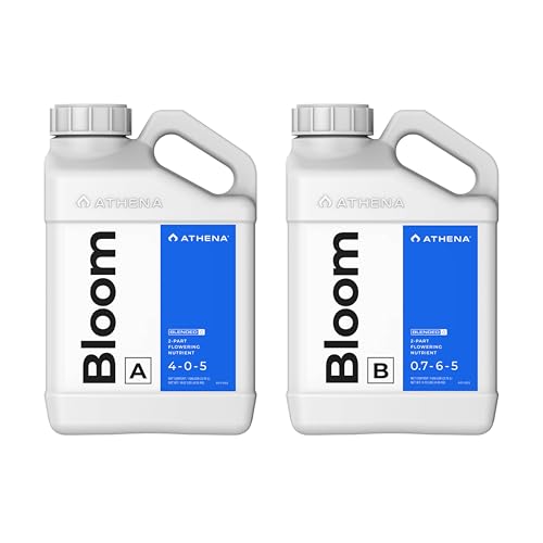 Athena Blended Bloom A&B