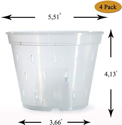 DAN Market 5.5 inch Orchid Breathable Slotted Clear Plastic Pot - 4 Pack