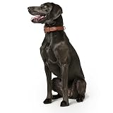 Hunter 42787 Halsband für Hunde Canadian Elk 55 nickel_Elchleder cognac/Elchleder schwarz, 42-48 cm