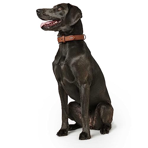 Hunter 42787 Halsband für Hunde Canadian Elk 55 nickel_Elchleder cognac/Elchleder schwarz, 42-48 cm