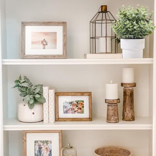 Coferset Plantas falsas grandes, plantas artificiais de eucalipto de 18,9 cm para prateleira, mesa,