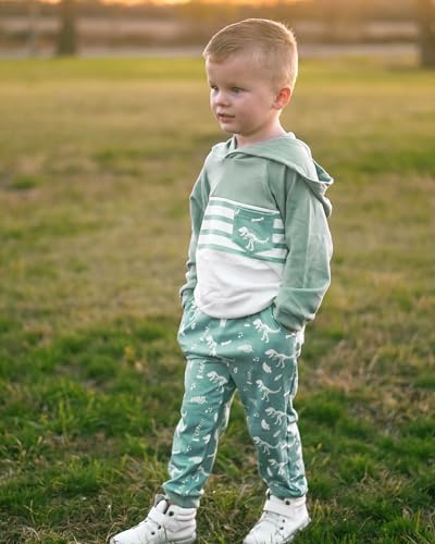 HINTINA Baby Boys Dinosaur Long Sleeve Hoodie Tops Sweatsuit Pants Winter Outfit Set3