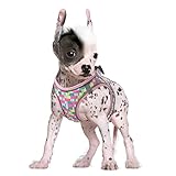 Small Dog Harness, No Pull Step in Harness for Puppy Medium Dog, Soft Air Mesh Breathable Ajustable