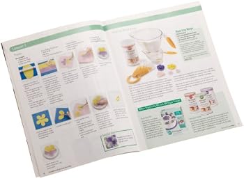 Paperback Wilton Flowers and Cake Design Lesson Plan Course 2- Discontinued By Manufacturer Book