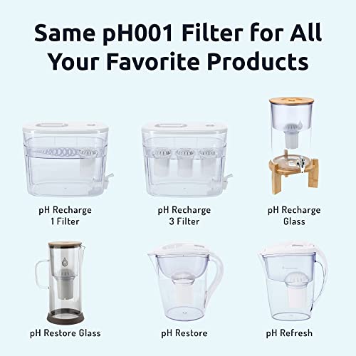 Image of Invigorated Water PH001 Alkaline Water Filter Replacement for Pitchers & Dispensers, BPA-Free, Reduces Chlorine, Copper & Heavy Metals, Raises pH, 96 Gallons /Filter (3-Pack, Black)