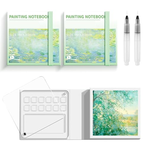 Set Acquerelli da Viaggio, Mini Tavolozza Acquerelli Set, Portatili Tavolozza da Viaggio Trasparente 12 Griglie con Pennelli Palette Painting Tavolozza per Studenti Pittori Artisti, 2 Pezzi