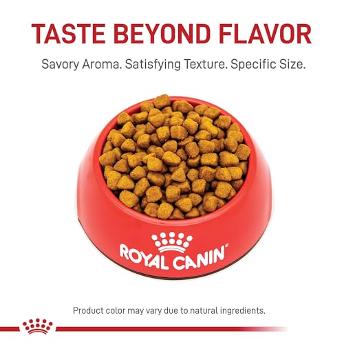 Royal Canin Feline Breed Nutrition Ragdoll Adult Dry Cat Food, 7 lb Bag
