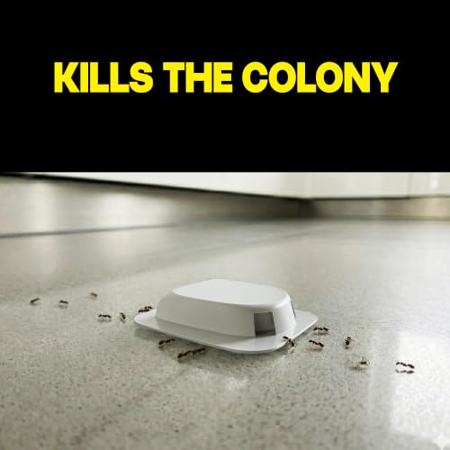 Image of Raid Ant Killer Baits, for Household Use, Kills the Colony, Kills Ants for 3 Months, Child Resistant, 4 Count