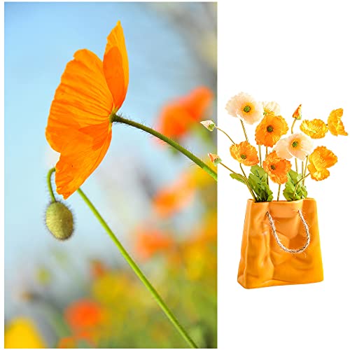 10000+ California Poppy Flower Seeds For Planting, Orange Corn Poppy Seeds Perennial Wildflower #TOP1