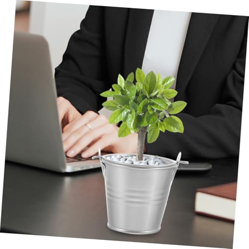 Petits seaux métal DOITOOL : pots de fleurs robustes pour compositions - 6