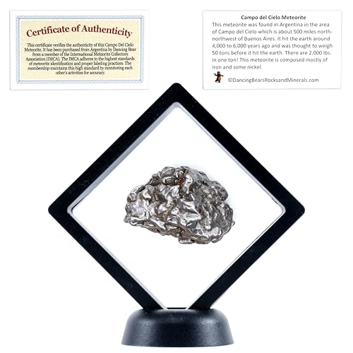 DANCING BEAR Real Meteorite Extra Large (20-32g) Genuine from Campo Del Cielo Argentina, Certificate of Authenticity, Display Case, ID Card, Space Rock, Assembled in the USA