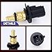 HiSport 5033313AA 5S8976 TX205 1712518 Coolant Temperature Sensor Compatible with Jeep Dodge Chrysler, Compass Patriot 2010-2017, Avenger 2009-2014, Journey 2010-2020, Caliber 2009-2012
