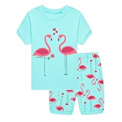 Two Flamingos