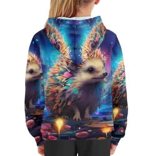 Boys Girls Hoodies Kids Cute Long Sleeve Kangaroo Pocket Youth Sweatshirt for 6-16 Years4