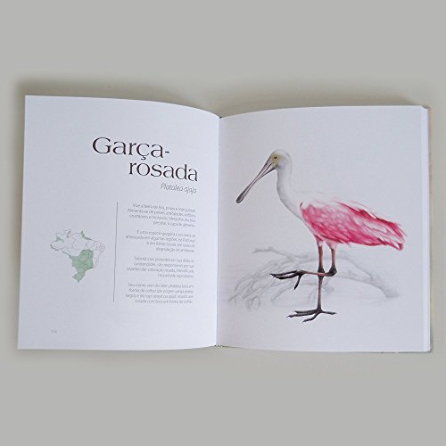 Ave Sertão! Aves em Grande sertão: veredas