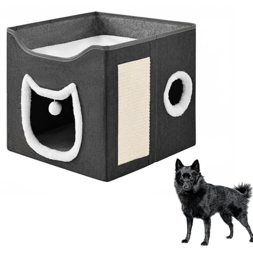 Lifetips XLbp[Li schipperke j LnEX h[^ ybgnEX Lp xbh ~p ۉ    ȃXy[X NbVt ~ O􂦂 LbgnEX Lh[ ybgh[ ~ 