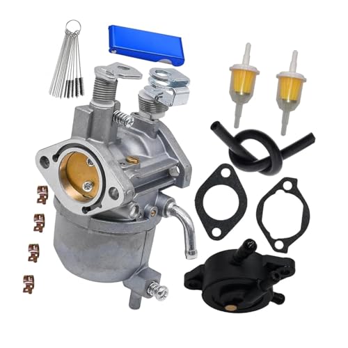 Carburateur 607954 contre les calages moteur des voiturettes TXT 2010
