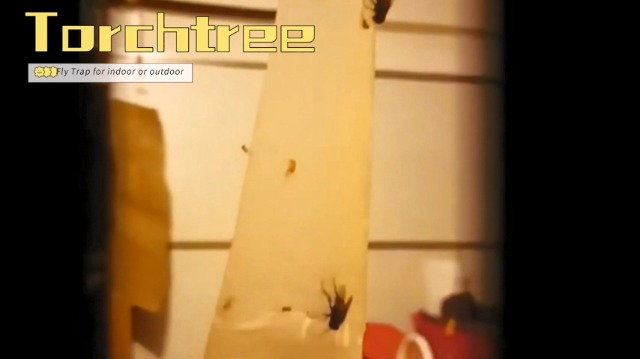 Fly Trap,18 Pcs Fly Paper,Fly Catcher,Fly Traps indoor for Home Use,Fly Strips,Fly Catcher Indoor