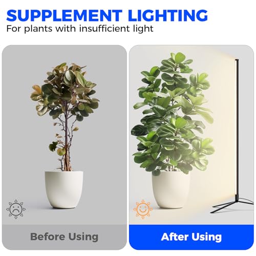 Barrina Grow Lights for Indoor Plants with Stand, 42W 169 LEDs Full Spectrum Wide Illumination Area, T10 Vertical Standing Plant Grow Light, 4FT Height with On/Off Switch and Tripod Floor Stand by Barrina - Image 7