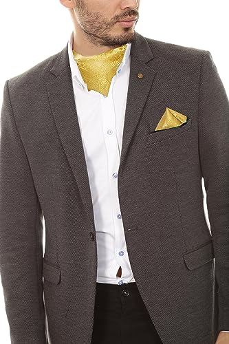 Image of DiBanGu Mens Silk Ascot Ties Paisley Jacquard Woven Cravat and Pocket Square Cufflinks with Lapel Pin for Business Wedding