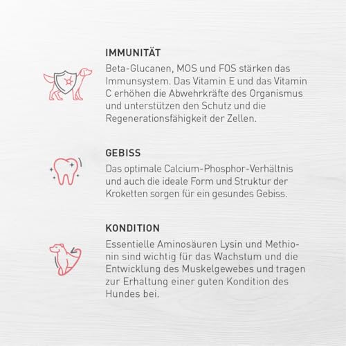 Eminent Puppy | High Premium Hundefutter Glutenfreie |Trockenfutter für Welpen, trächtige und laktierende Hündinnen Kleiner und mittlerer Rassen 15kg 15 kg (1er Pack)