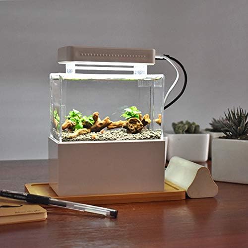 Cunzo Mini Desktop Aquarium Fish & Shrimp Tank with Water Filtration LED & Pump (White)