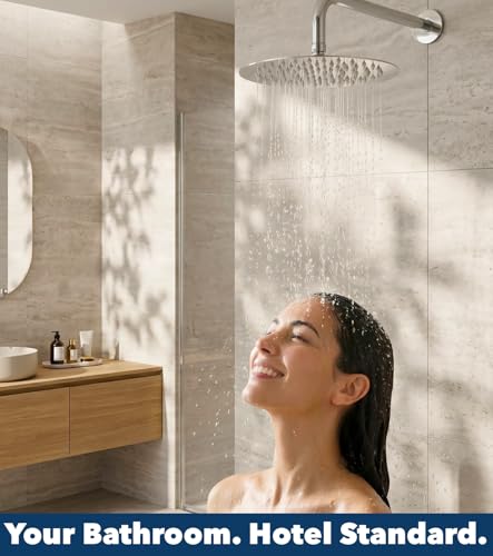 Pomme de douche de rechange chromé G1/2 avec rotule en laiton