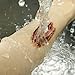 Disfraces de Halloween Tatuajes de zombis, Maquillaje para decoraciones de fiesta de...