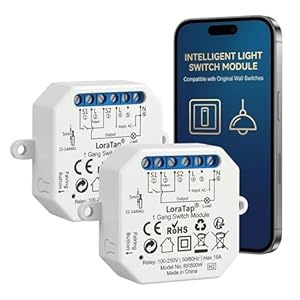 LoraTap 2 Stück WiFi-Schalter Alexa Wireless, Wechselstrom, Empfänger 2300 W, 10 A, intelligenter Schalter, Fernbedienung per Telefon, Relais, kompatibel mit Google Home