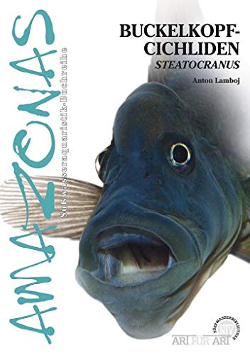 Buckelkopfcichliden: Steatocranus (Buchreihe Art für Art Süßwasser)