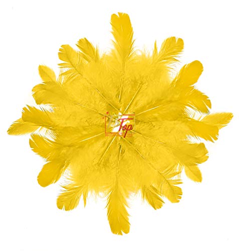 Image of TIPTOP DECORATION Natural Dyed Feathers 10 cm (80 pieces) (Dark Yellow)