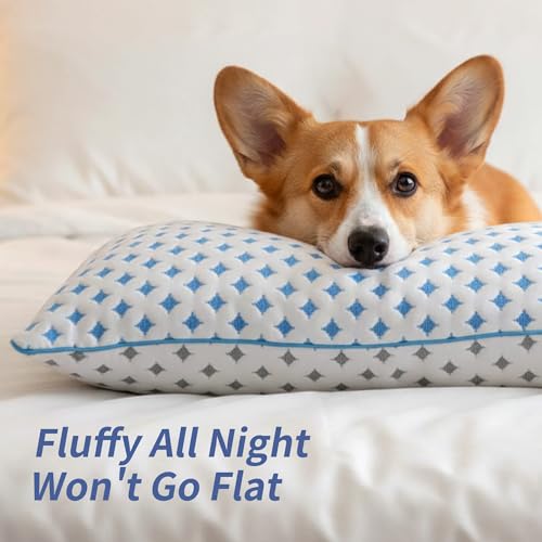 Image of Queen Pillows Set of 2, Cooling Shredded Memory Foam Pillows