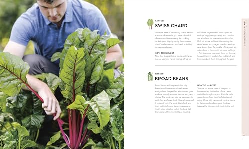 Image of Veg in One Bed New Edition: How to Grow an Abundance of Food in One Raised Bed, Month by Month