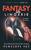 Fantasy in Lingerie (Volume 6)